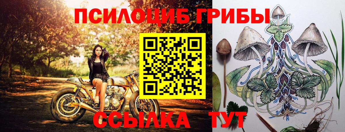Новочеркасск  Галлюциногенные грибы GOLDEN TEACHER  Псилоцибиновые грибы Psilocybe  Вход с VPN 