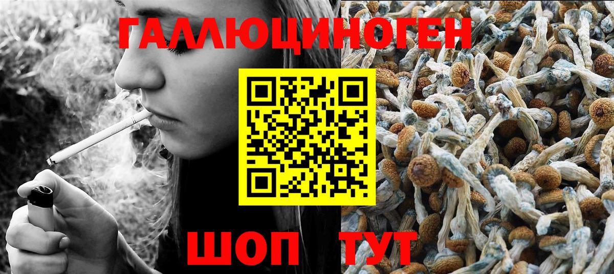Псилоцибиновые грибы Psilocybine cubensis Новочеркасск