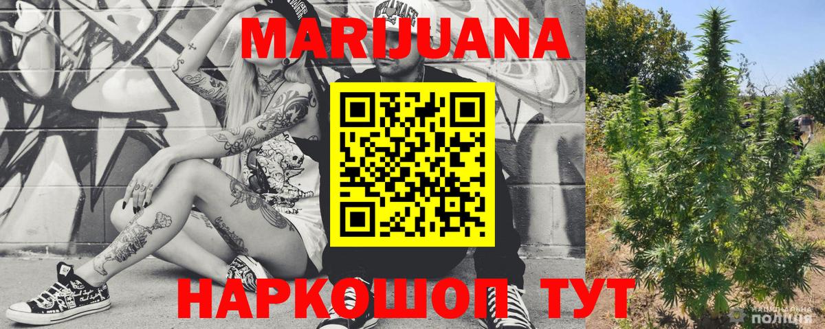 Канабис сатива Новочеркасск